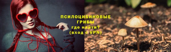 apvp Абаза