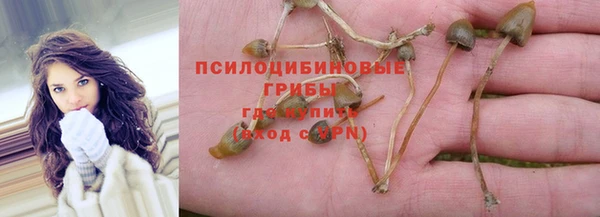 apvp Абаза