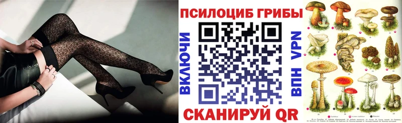 Псилоцибиновые грибы ЛСД  Новая Усмань 